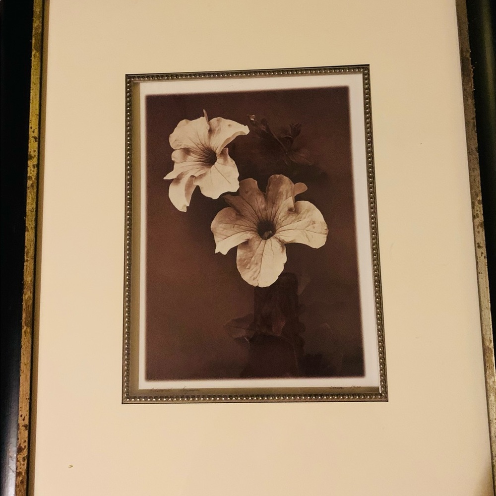 Edward Seymour’s “Petunia”